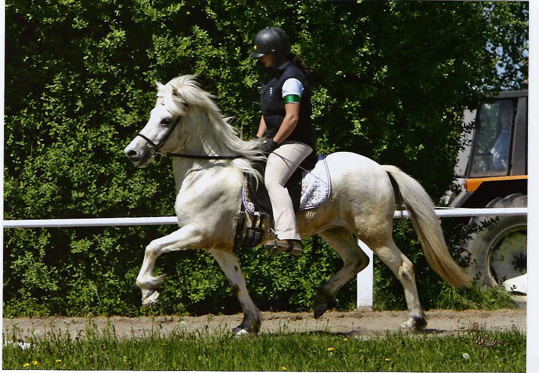 Snarfara in Hagen.jpg (374222 Byte)