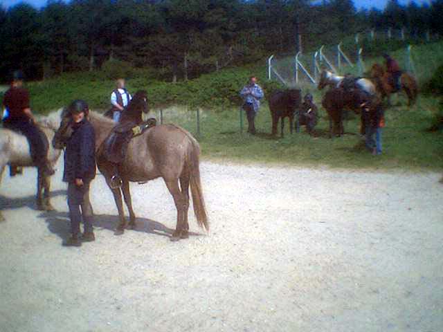 b_0021.jpg (40526 Byte)