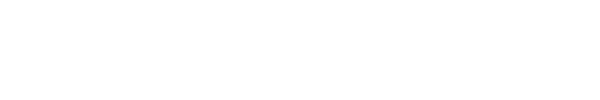 Lenk