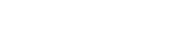 Theorietag